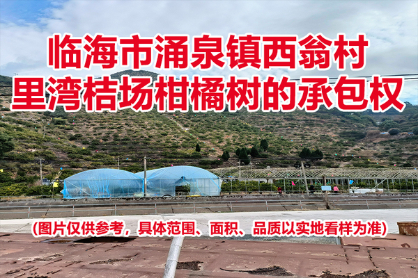 临海市涌泉镇西翁村里湾桔场柑橘树的承包权